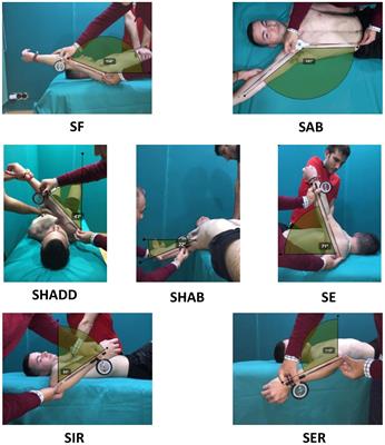 Low Range of Shoulders Horizontal Abduction Predisposes for Shoulder Pain in Competitive Young Swimmers